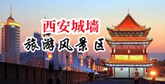 特级打炮中国陕西-西安城墙旅游风景区